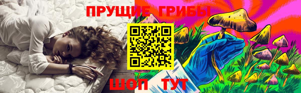 Амурск  Псилоцибиновые грибы Cubensis  Вход с VPN 